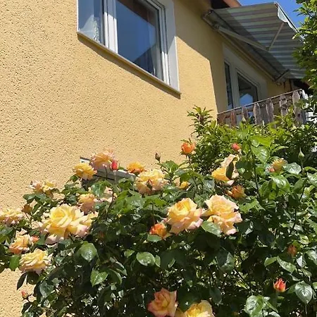 2-bedroom With Kitchen And Garden, Fast To Dusseldorf Messe Apartment Duisburg